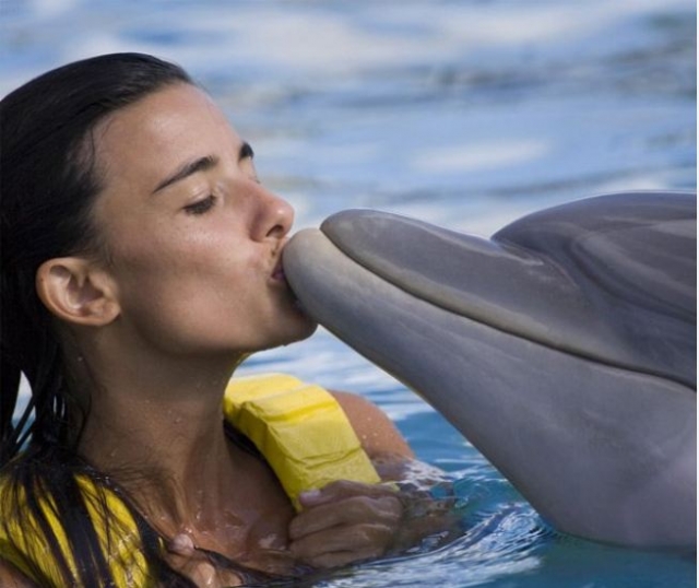 Beso a delfin